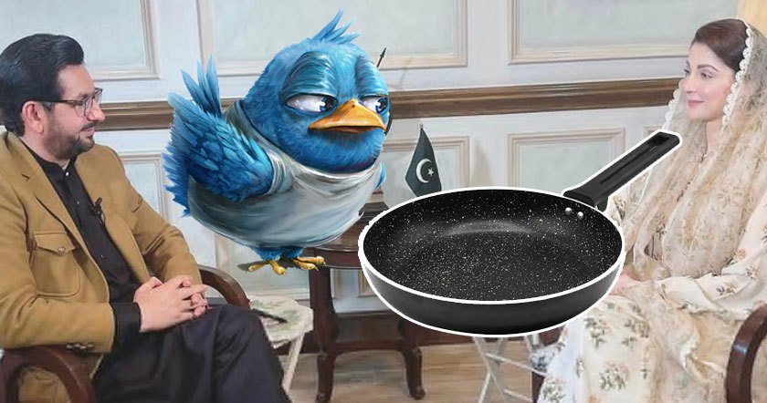 fry-panal.jpg