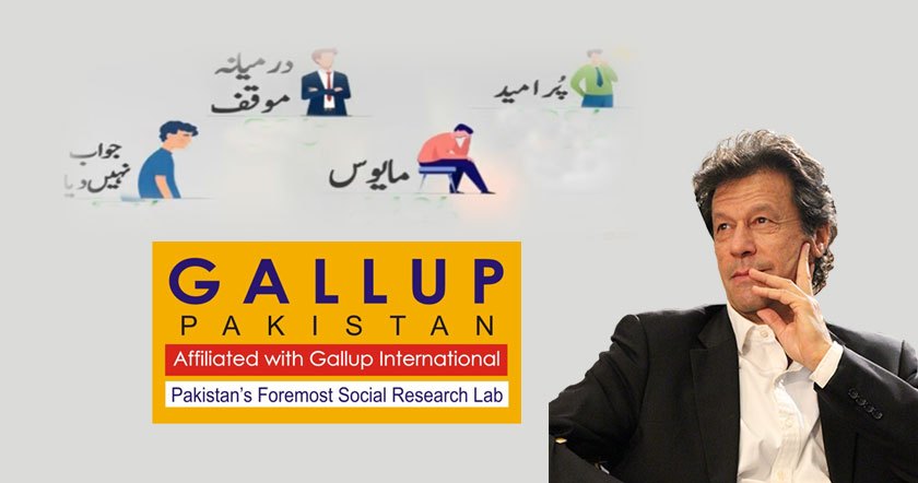 gall1121.jpg