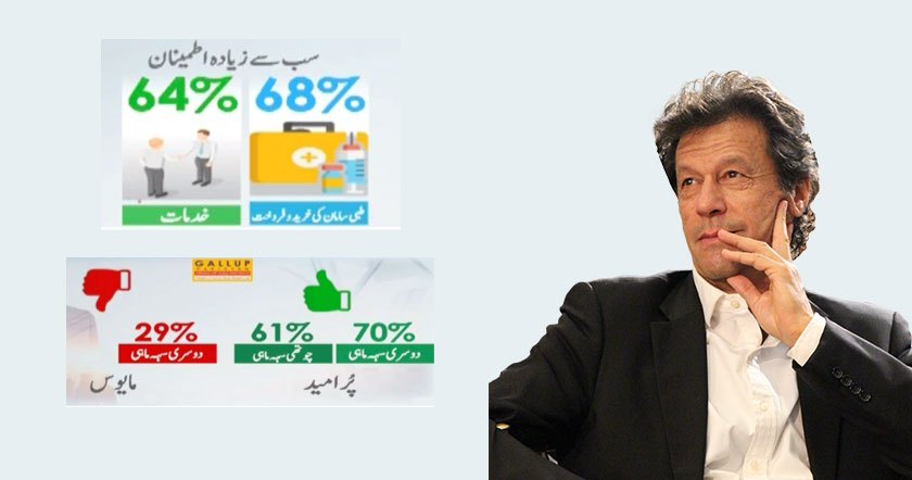 gallup-survey1124.jpg