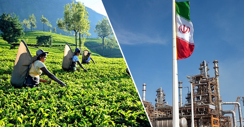 iran-tea-srilanka.jpg