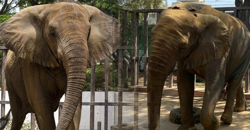 madhubala-karachi-zoo-again.jpg