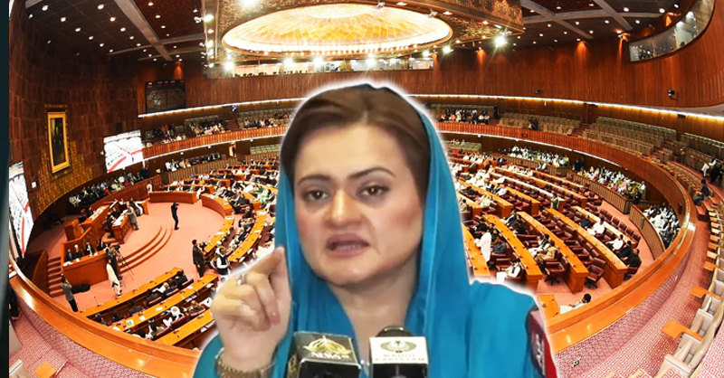 maryam-aurangzaib-law-of-army-act.jpg