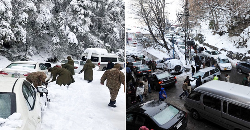 muree-entry-check-porin.jpg