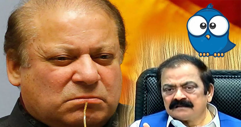 nawaz-guranqh1h11.jpg