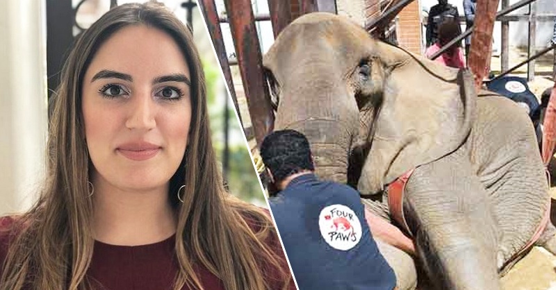 noor-jahan-elephant-karachi-zoo.jpg