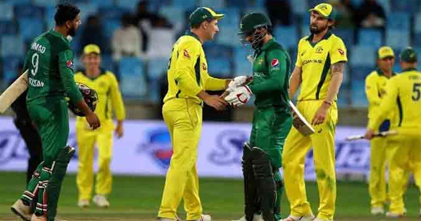 pakvsaus11.jpg