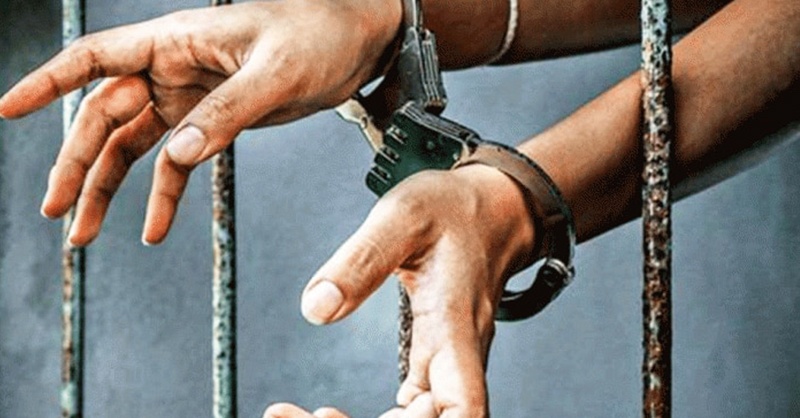 peca-law-and-govt.jpg