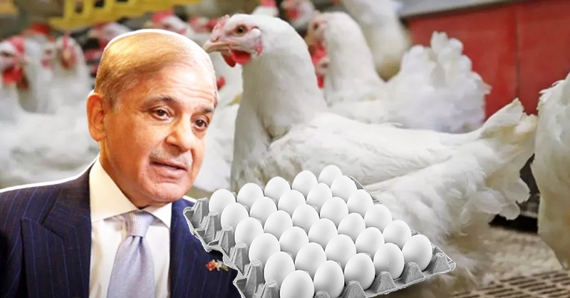 poultry-inds-shebaz-sharif-jnb.jpg