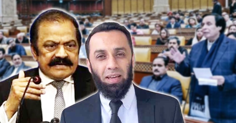 rana-sana-and-ata-tarr-leaft-politics-st.jpg