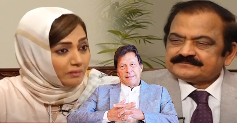 rana-sanaa-ullah-khan-on-ecp-imran.jpg
