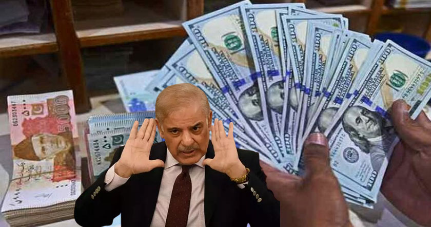 shahai1h11i2.jpg