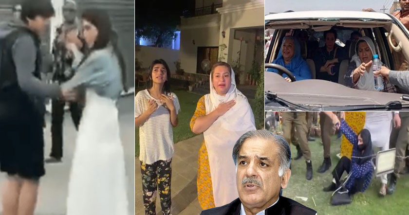 shehbah1h1h121.jpg