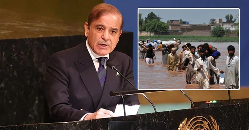 shehbaz-cl-un-nb.jpg