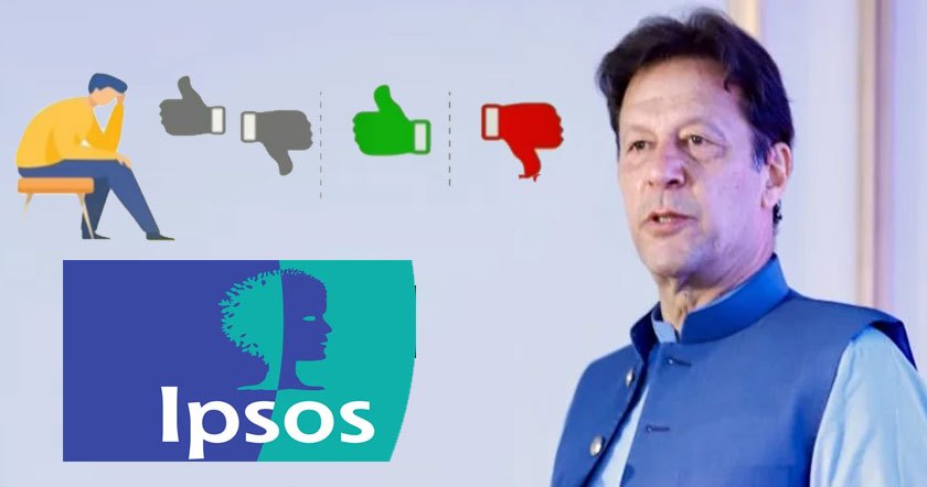 survey-ipsos11.jpg