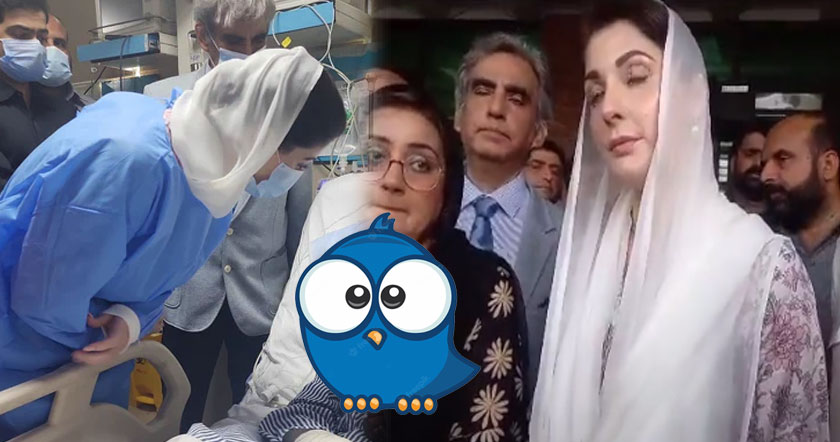 toahaiaahssa.jpg
