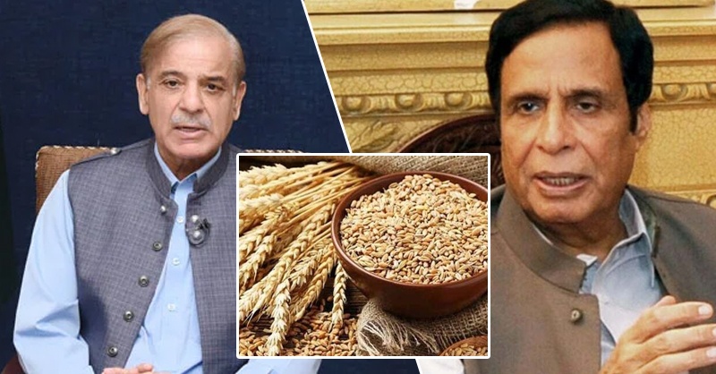 wheat-imran-khan-shehbaz-sharif.jpg