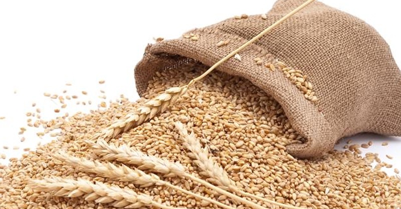 wheat-price-very-high-a.jpg