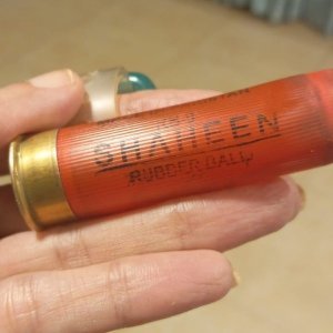 Shaheen