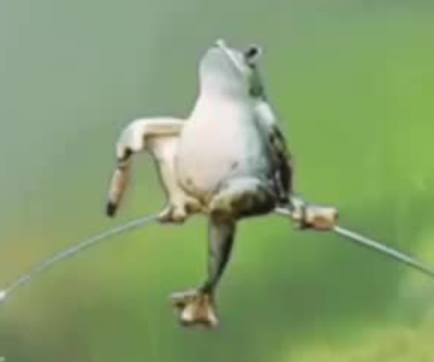 CapDell 2024-02-09 04 10 52.png