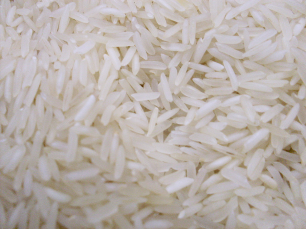 basmati_rice-21201217.jpg