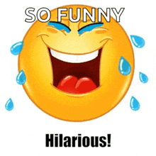 hilarious-funny.gif