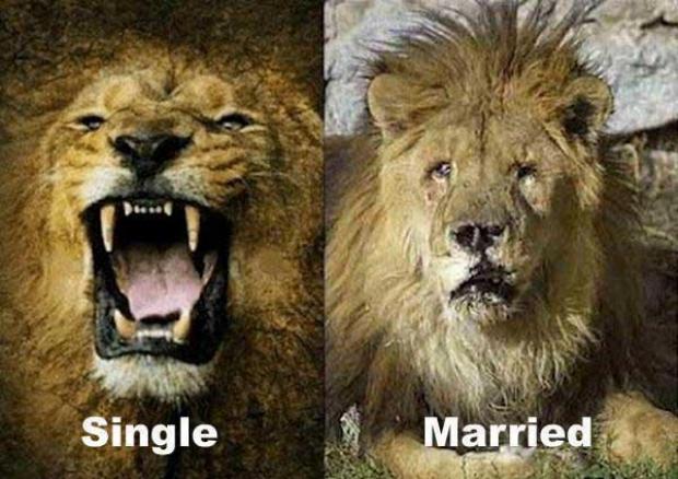 Funny-Single-Or-Married-1702.jpg