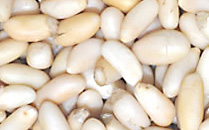 pine-nuts.jpg
