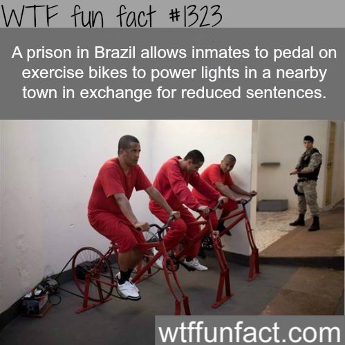 32a4adaf42ff392e541e30ea8478f561.jpg