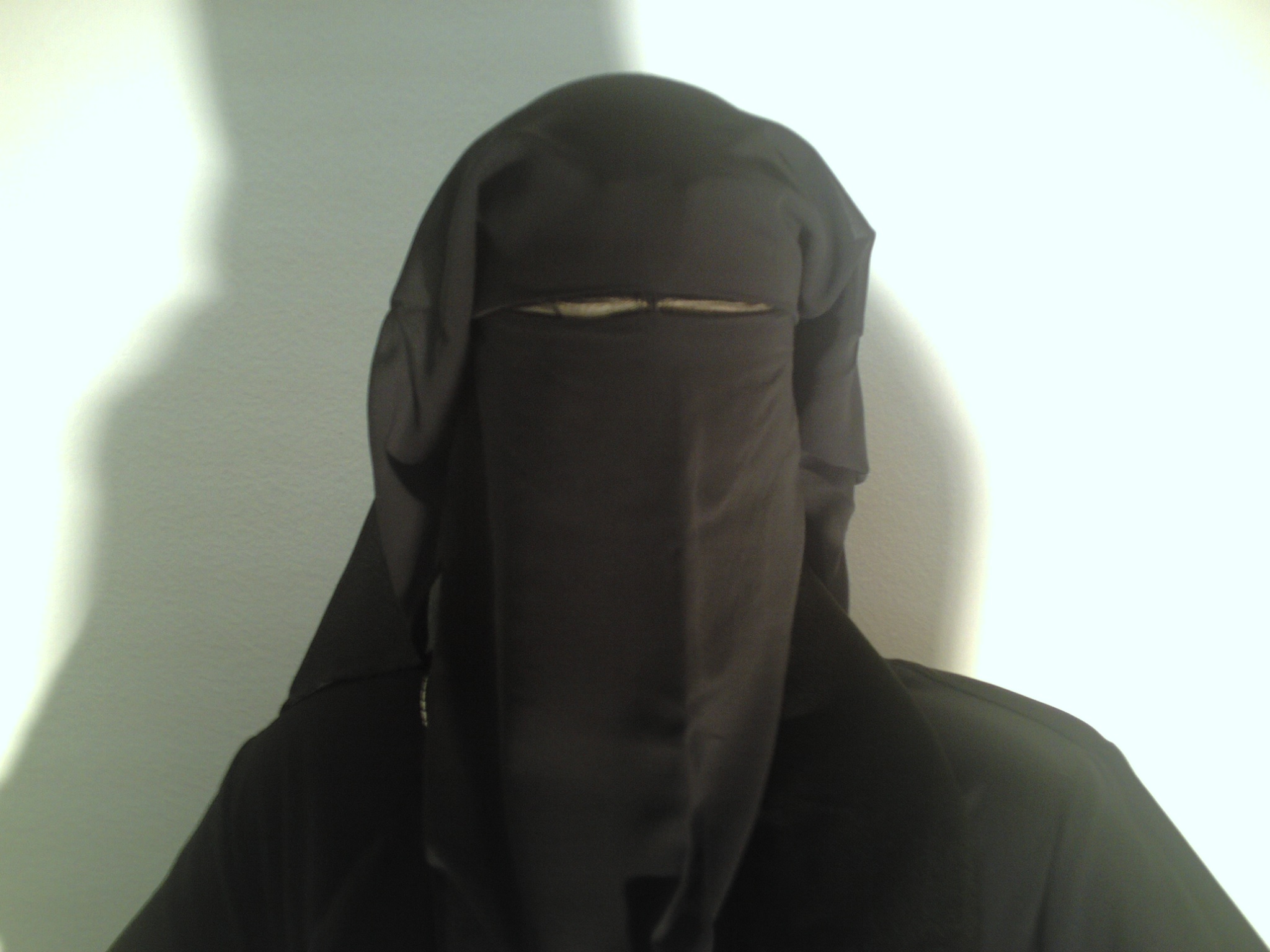 the-niqab1.jpg
