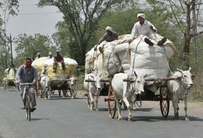 vidarbha-farmers-295.jpg