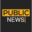 publicnews.com