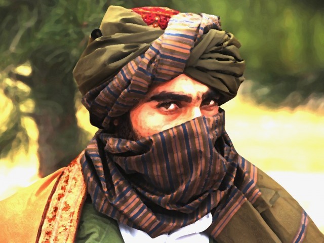 467428-talibanmilitantAFP-1353221257-822-640x480.jpg