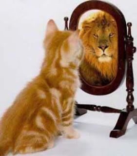 cat_as_lion.jpg