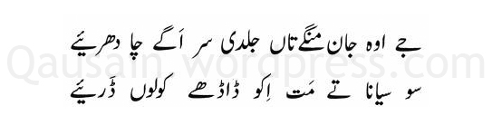 saif_ul_malook_140.jpg