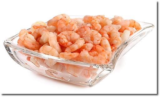 shrimps.jpg