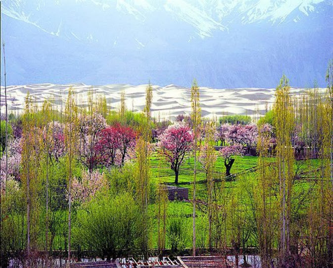 Skardu.jpg