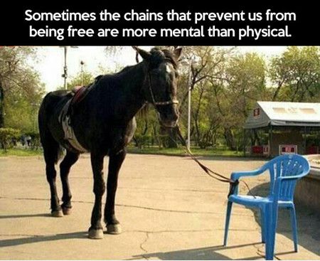 chains.jpg