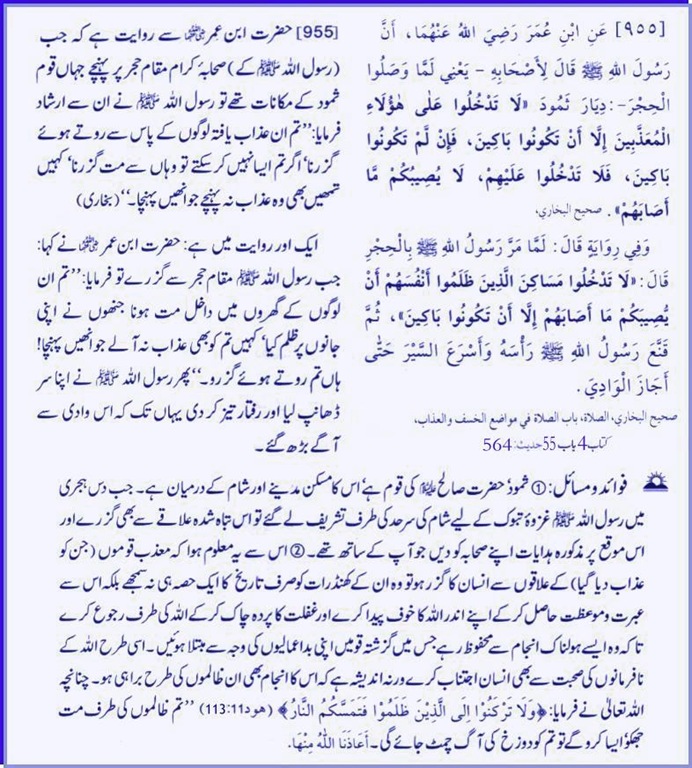 hadith_955.jpg