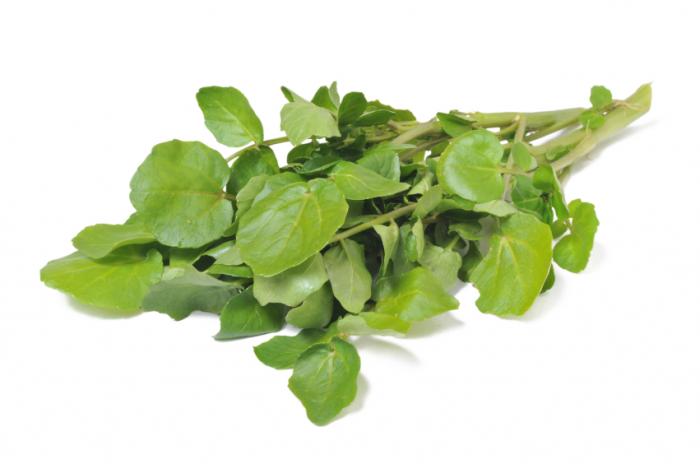 watercress1.jpg