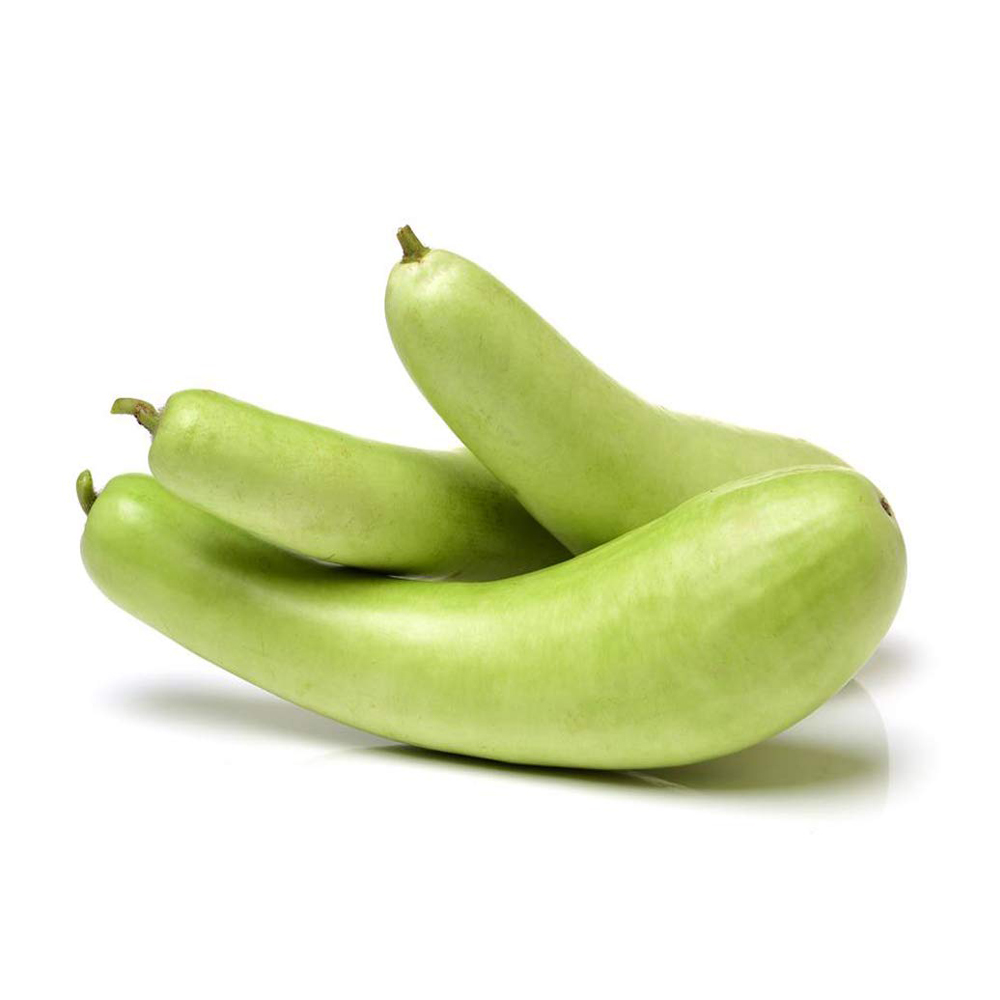 grocerapp-loki--633fd917a0378.jpeg