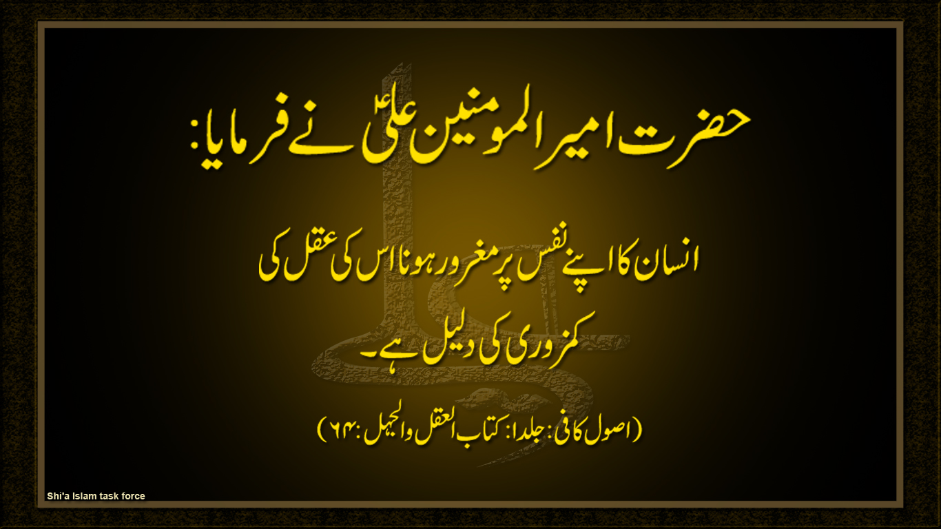 farman_e_maula_ali_a_s_by_ypakiabbas-d4z8kdl.jpg