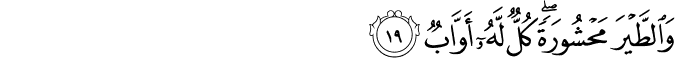 38_19.png