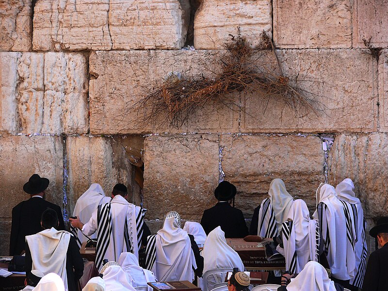 800px-Jews-pray-in-the-Western-Wall-1.jpg