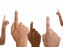 fingers-pointing.gif