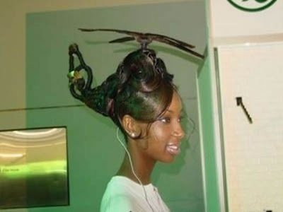 funny_hairdos_12.jpg