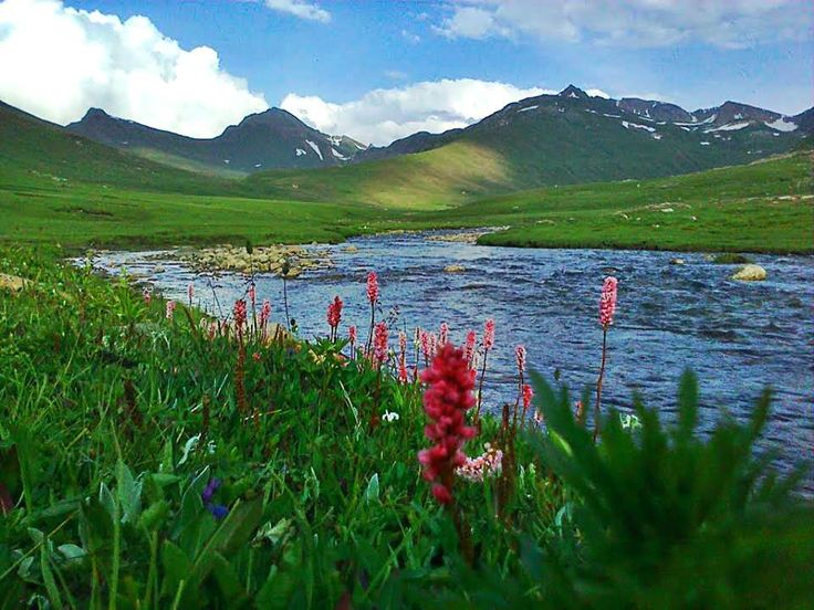 83f1ef341c3ae1c4762763bb7d58cf14--pakistan-natural-beauty.jpg