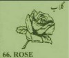 rose.jpg