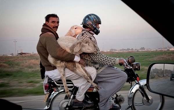 Goat-Bike-594.bmp