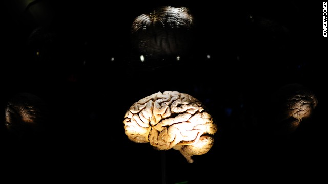 121012010714-brain-side-view-horizontal-gallery.jpg