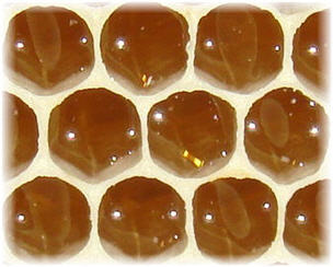 honeycomb_cells.jpg